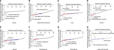 Cell non-autonomous effect of hepatic growth differentiation factor 15 on the thyroid gland